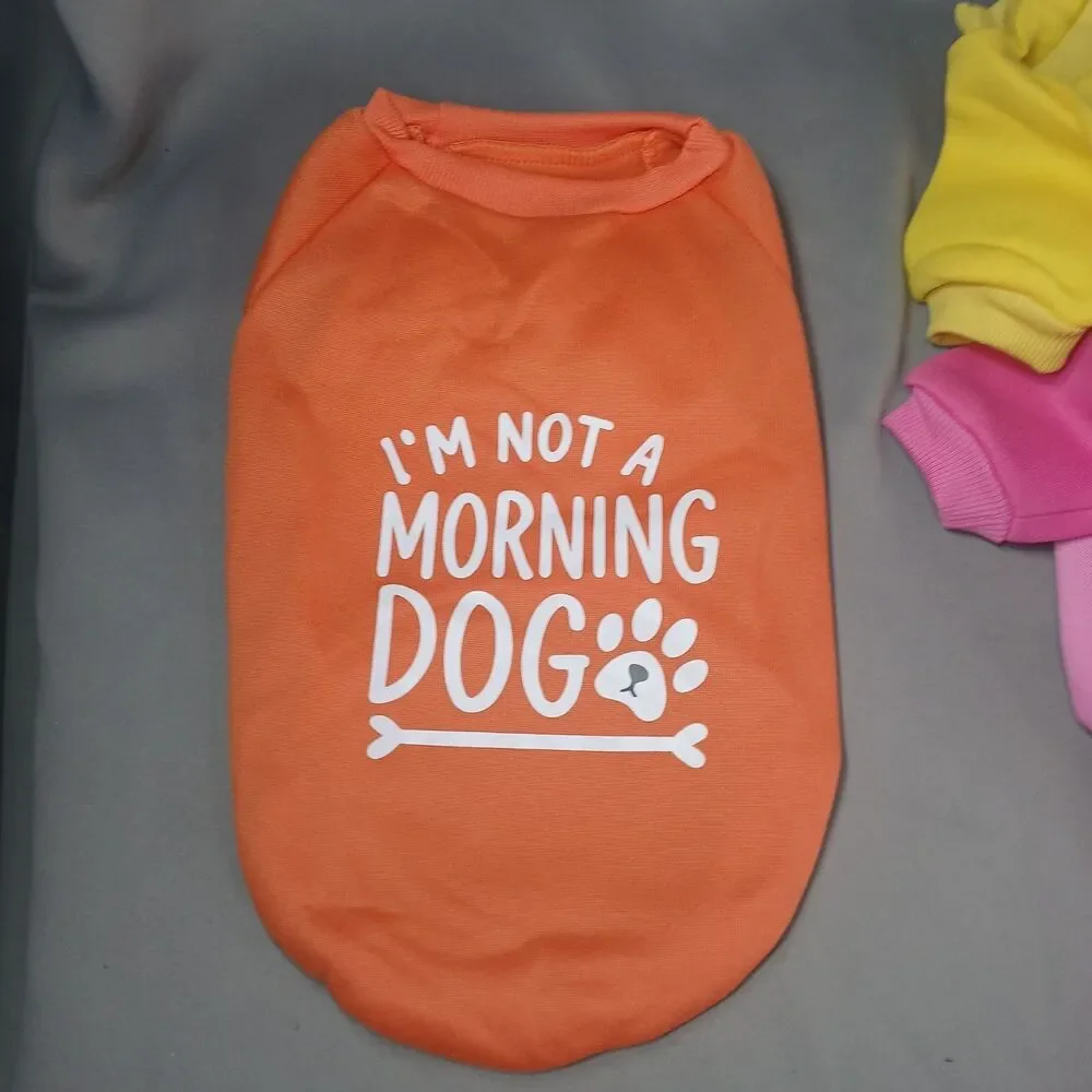 Unbranded small dog
